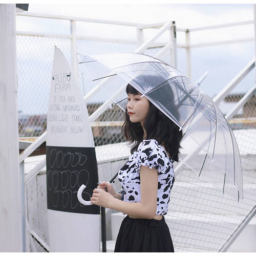 투명 우산 여성용 긴 손잡이 자동 일본풍 창작 아트 상큼한 튼튼한 강화 바람저항 바람에 강한 2인용 대형 주문제작 logo 우산