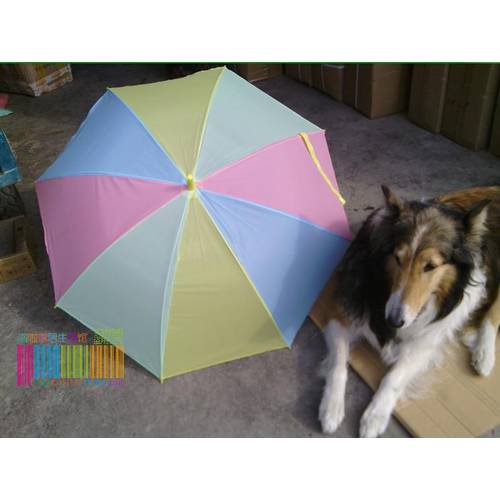 투명 우산 수박 우산 긴 손잡이 자동 우산 낚시 우산 웨딩홀 우산 광고용 댄스 우산 양산 잔여 상품 우산