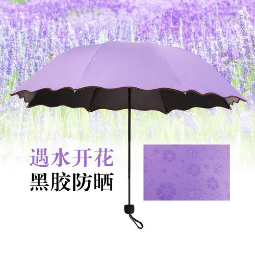 퍼플 한국판 레이스 ins 범퍼 두꺼운 logo 주문제작 햇빛가리개 심플 우산 남여공용 우산겸용양산 다목적 소형 대형