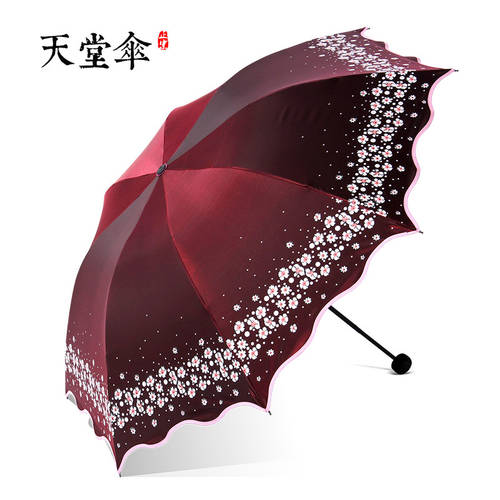EUMBRELLA 블랙 접착제 자외선 차단제 양산 자외선 차단 양산 파라솔 3단 접이식 우산 여성 우산 양산 모두사용가능 우산 접이식