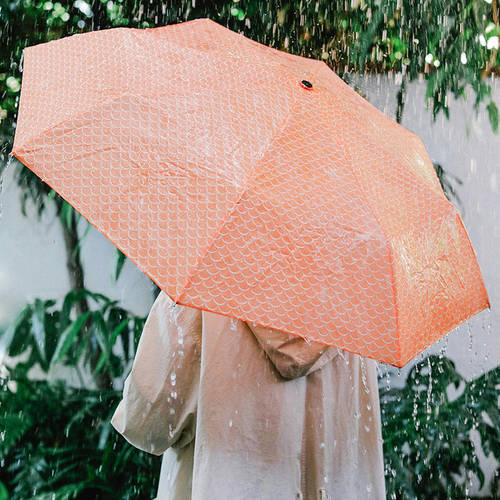 좋은 일들 丨 스페인 DoiyFish 독창적인 아이디어 상품 KOI 물고기 우산 3단 접이식 우산 나무 손잡이 귀여운 알루미늄합금 휴대용 우산