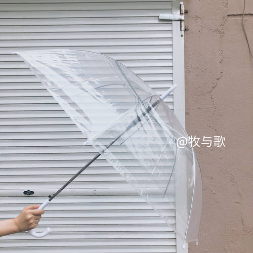 목회와 노래 홈메이드 자체제작 심플 범퍼 두꺼운 연장 투명한 우산 상큼한 커플 자동 2인용 우산 촬영 방법에 따라 와