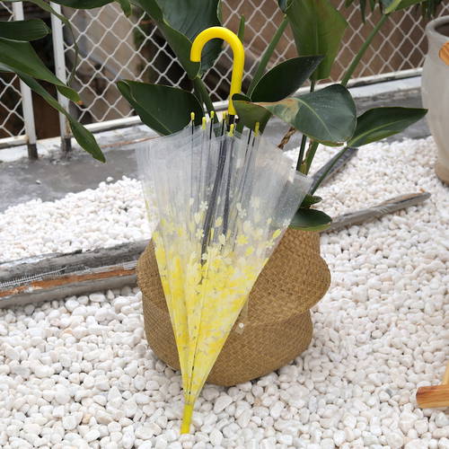 학술적으로 분위기 요즘핫템 셀럽 여동생 대단히 호환 사용하다 옐로우 제품 상품 일본 사쿠라 긴 손잡이 장우산 손잡이 투명한 자동 비 우산