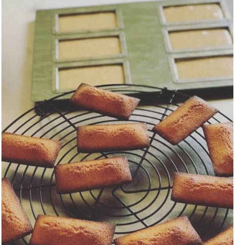 일본 치요다 메탈 chiyoda cuoca 콜라보 에디션 6 개 연결 피낭시에 묻지 않는 케이크 몰드