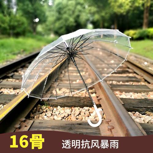 16 뼈 투명성 우산 여성용 한국 상큼한 신사용 남성용 흰색으로 컬러 플라스틱 대형 독창적인 아이디어 상품 일본 자동 장우산