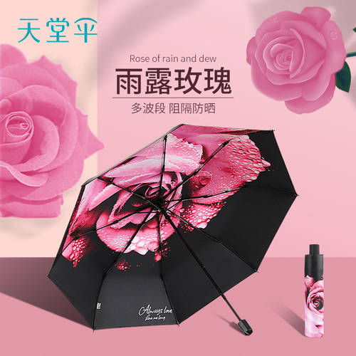 EUMBRELLA 여성 비 또는 빛 우산  휴대용 양산 여름 범퍼 두꺼운 비닐 태양 보호 자외선 차단 우산