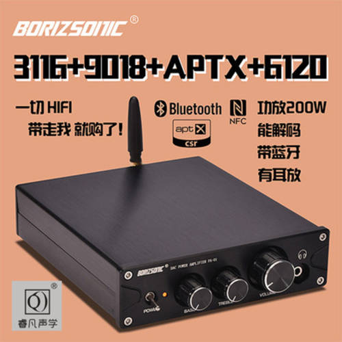 HI-FI TPA3116 블루투스 5.0 디지털 주파수 ES9018K2M 전력 증폭기 디코딩 기기 앰프 100W*2