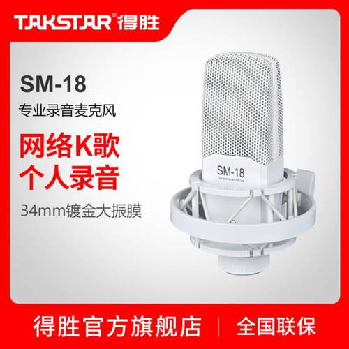Takstar 탁스타 SM-18 콘덴서마이크 핸드폰 노래방 어플 기능 라이브 라지다이어프램 전문 녹음 방 마이크