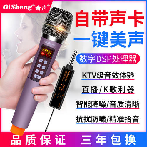 Qisheng QISHENG 음성변조 무선 마이크 프로페셔널 2채널 하울링방지 가정용 노래 아웃도어 노래방 어플 기능 마이크