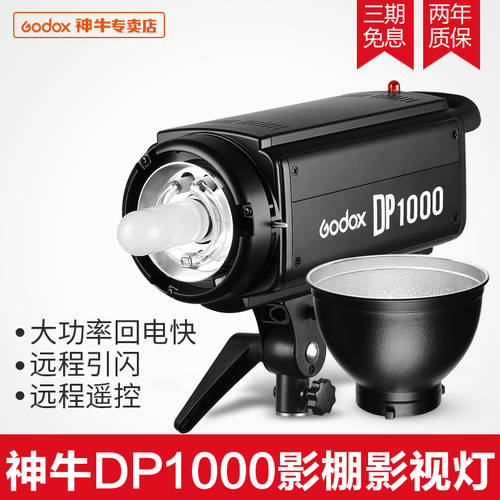 GODOX DP1000W 사진관 조명플래시 촬영 램프 사진 빛을 비추다 대만 일본 미국 110V 지역 전용
