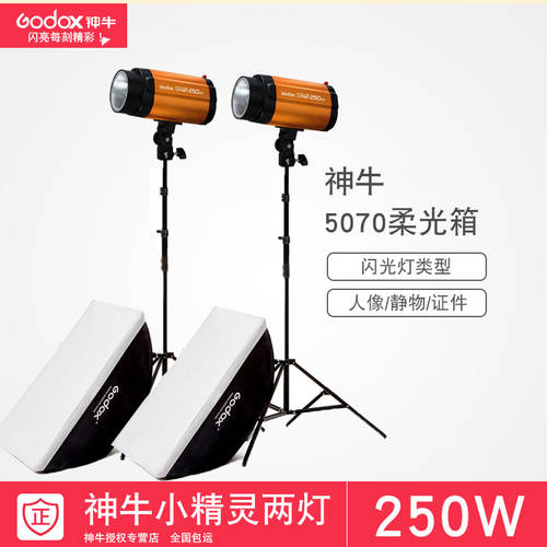 GODOX 250W 촬영조명 촬영스튜디오 조명플래시 세트 소프트 박스 사진관 250W 장비 촬영장비