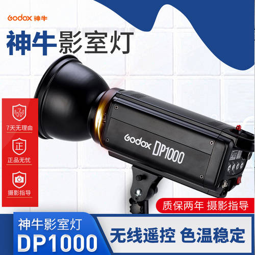 GODOX DP1000W 사진관 조명플래시 촬영조명 실내 인물 촬영스튜디오 LED조명 TMALL티몰 가구 촬영 LED보조등 스튜디오 촬영 조명 LED조명 사진관 촬영장비 단일 램프 세트