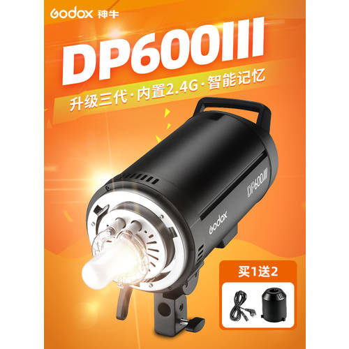 GODOX 촬영조명 DP600III 사진관 조명플래시 600w 프로페셔널 전문가용 라이브 방송 사진관 실내 인물 LED보조등