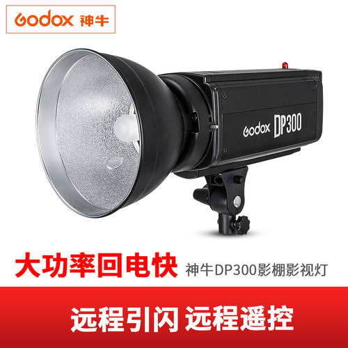 GODOX DP300W 촬영조명 소프트 박스 촬영스튜디오 조명플래시 LED보조등 단일 램프 헤드 촬영 부드러운 빛