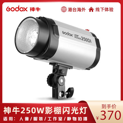 GODOX 소형 파이오니아PIONEER 250w 사진관 조명플래시 촬영스튜디오 촬영 부드러운 빛 250W 패션 촬영 사진관 조명