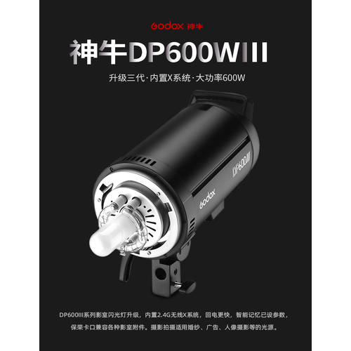 GODOX DP600III 사진관 조명플래시 600w 3세대 촬영조명 프로페셔널 실내 인물 사진관 3 개의 램프 세트 설치
