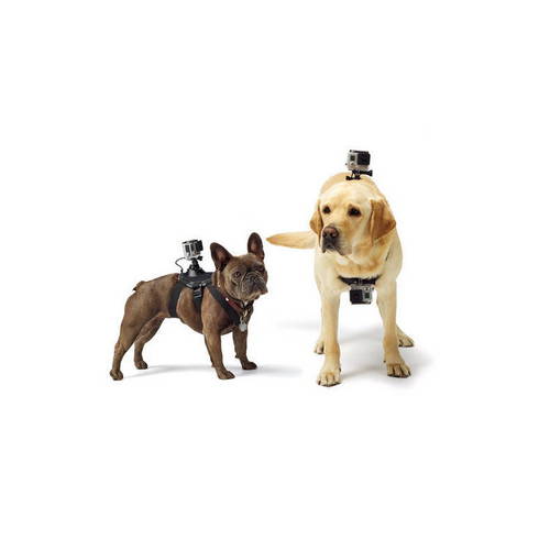 애완동물 펫 강아지 체스트 마운트 포함 Gopro 강아지 촬영 배낭스트랩 개 백팩 포함 거치대 사용가능 오즈모포켓