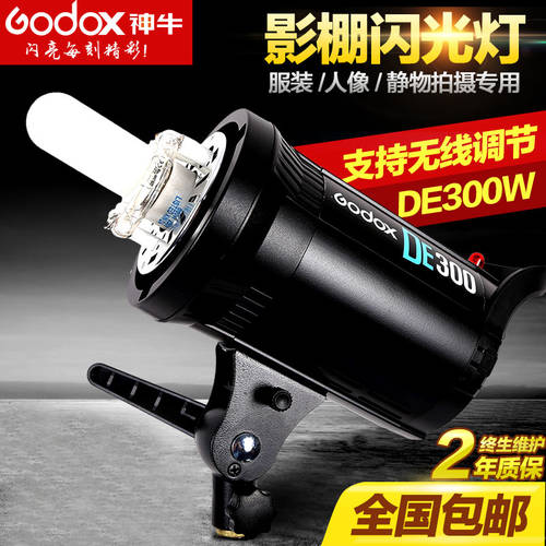 GODOX DE300 촬영스튜디오 조명플래시 카메라촬영 오두막 부드러운 빛 사진관 조명플래시 촬영 그림자 빛을 비추다