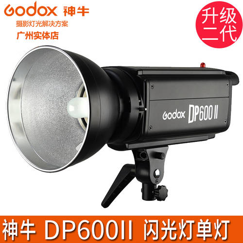 GODOX 촬영조명 DPII600W 전문 영화 바닥 인물 사진관 조명플래시 촬영스튜디오 부드러운 빛 슈팅 라이트