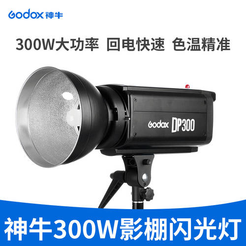 GODOX DP300W 사진관 조명플래시 패션 인물 정물촬영 필 라이트 촬영 램프 사진 사진관 라이트 스튜디오 조명