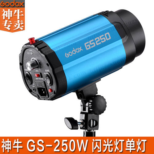 GODOX 250DI GS250W 전문 영화 방 조명플래시 촬영조명 TMALL티몰 제품 온라인 상점 실사 촬영장비