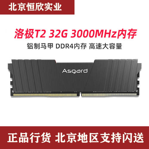 Asgart 뤄지 51℃ 그레이 T2 DDR4 2666 3000 회수 32G 32GB 단일 램