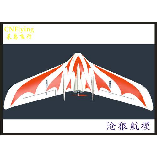 ALONG-RC 원격제어 비행기 드론 삼각형 날개 EPO 글라이더 C1 행글라이더 체이서 fpv 수송용 드론