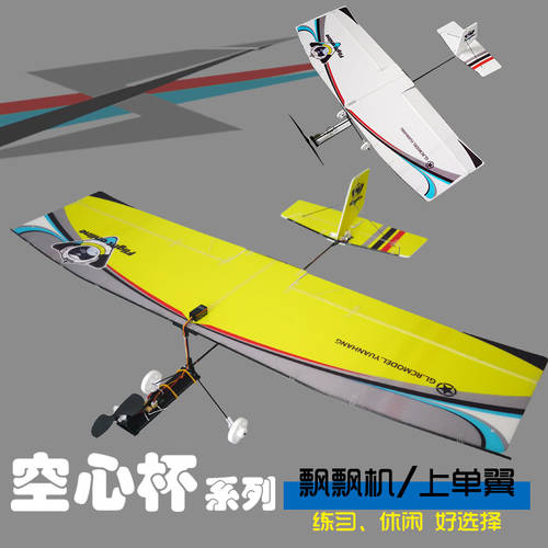 리모콘 비행기 모형 비행기 코어리스 모터 연습용 비행기 미니 고정날개 고정익 글라이더 주문 날개 실외 글라이더