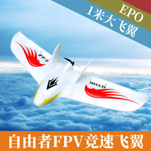 비행기 모형 전동 리모콘 고정날개 고정익 비행기 FREE 으로 행글라이더 FPV 스피드 기계 EPO 충격 방지 삼각형 날개 비행기