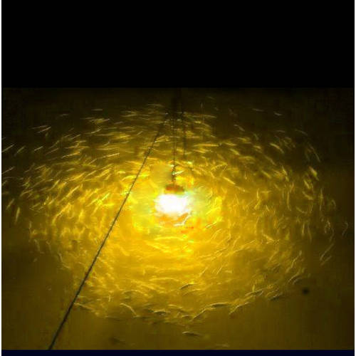 LED 깊은 물 버전 뗏목 낚시 랜턴 후레쉬 수중 랜턴 후레쉬 집어등 낚시 매직 램프 뗏목 낚시 미끼 물고기 매직 램프