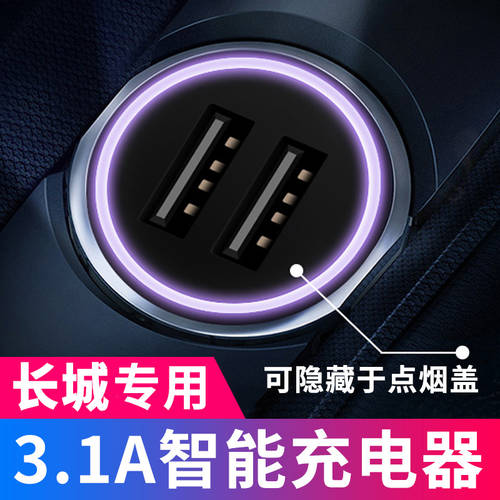 창청 차량용 자동차 고속 충전 자동차 TENGYI C30 전용 남성용 시거잭 듀얼 USB 휴대폰 충전 구형 1 IN 3